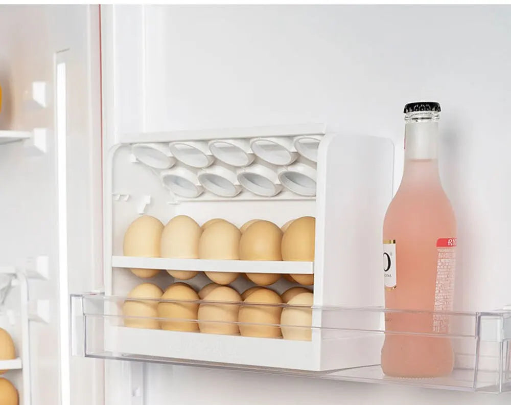 Refrigerator Egg Storage Box 