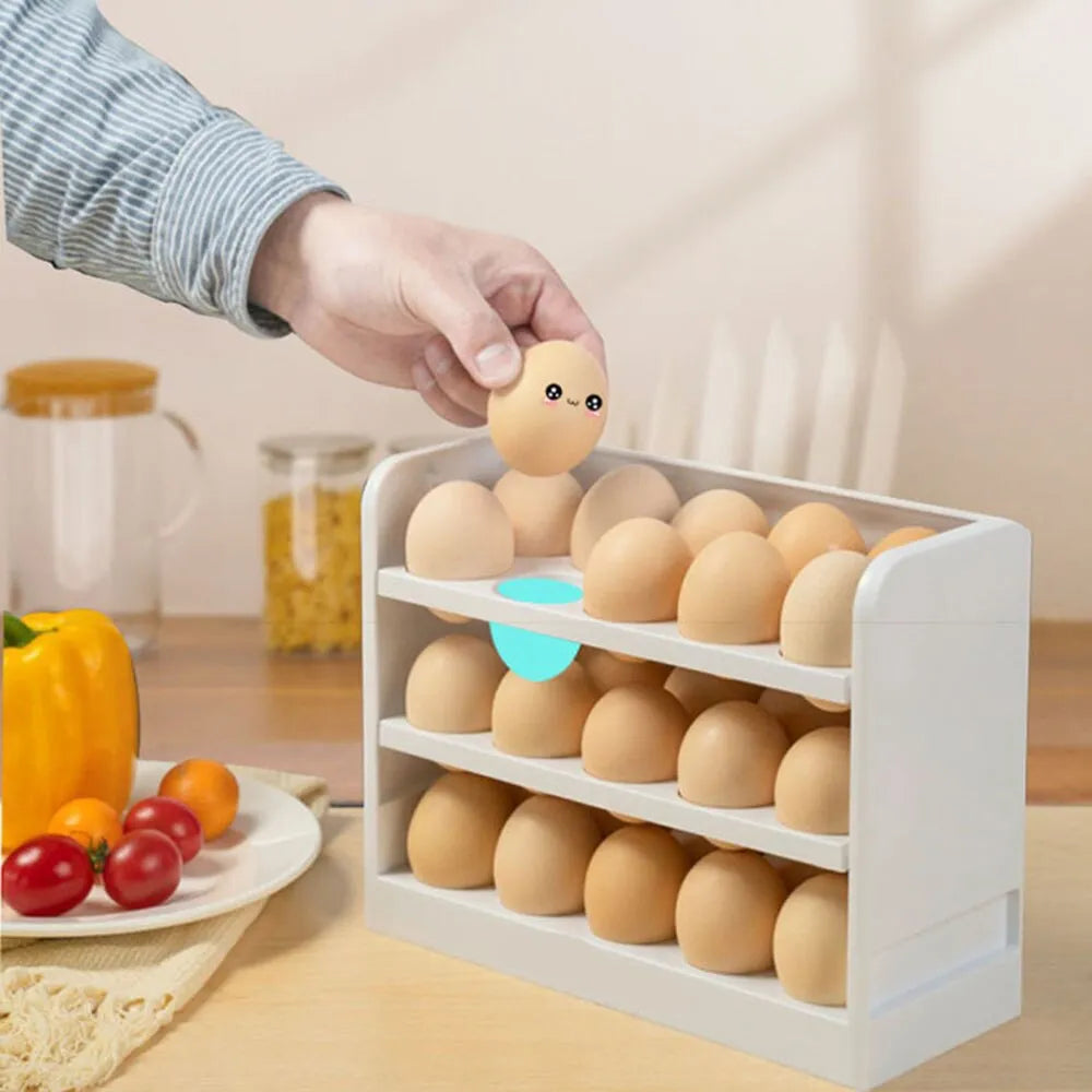 Refrigerator Egg Storage Box 