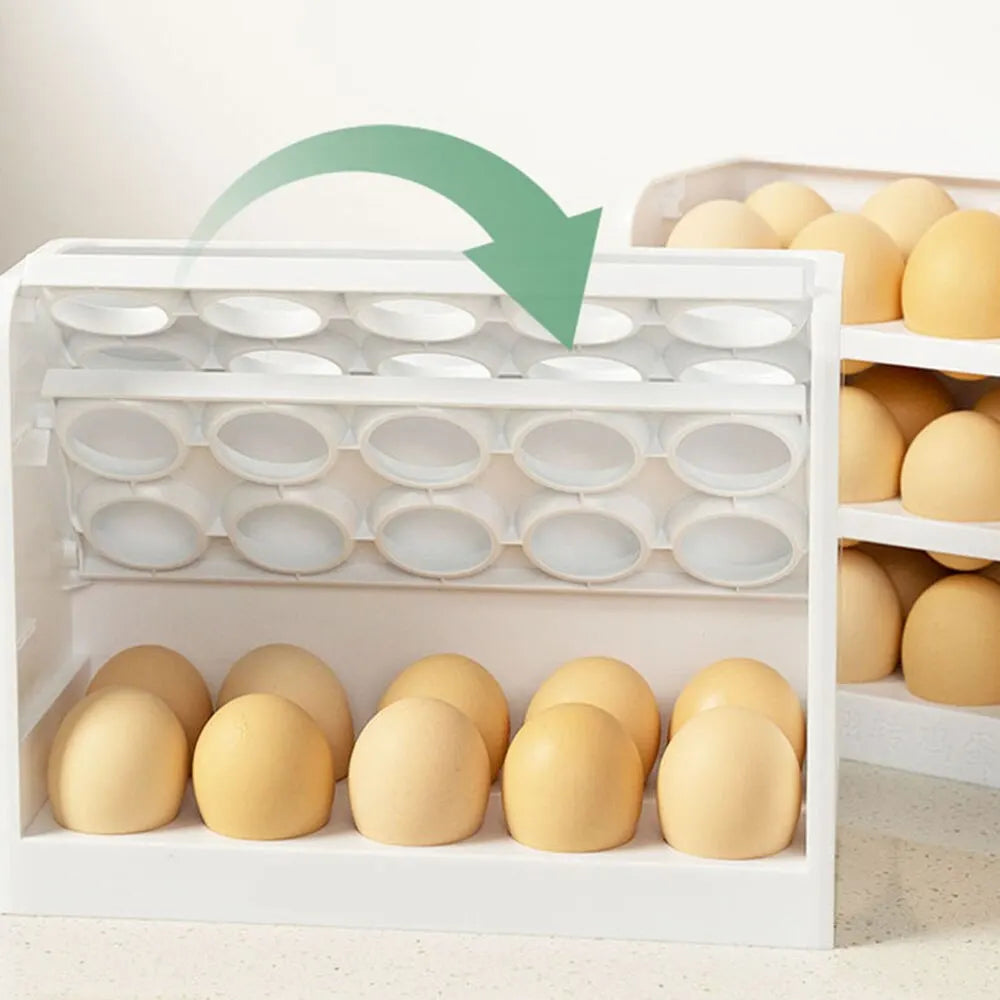 Refrigerator Egg Storage Box 